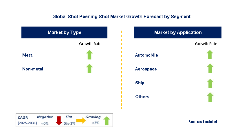 Shot Peening Shot Market by Segment