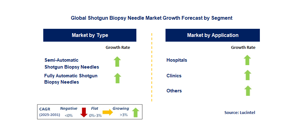 Shotgun Biopsy Needle Market by Segment
