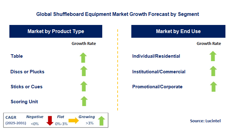 Shuffleboard Equipment Market by Segment