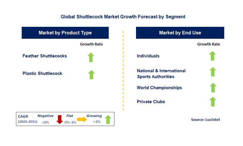 Shuttlecock Market by Segment
