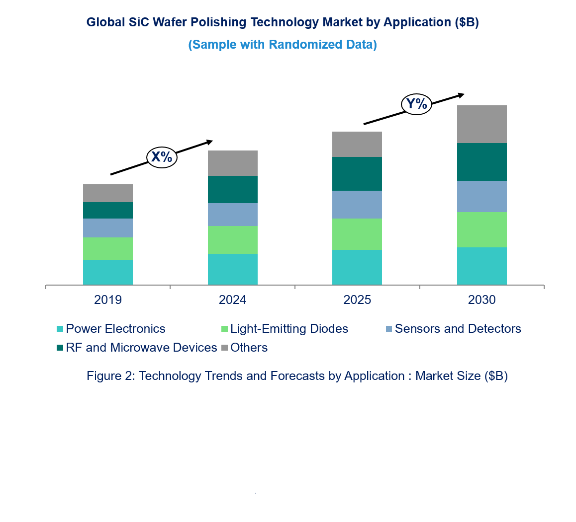 Sic Wafer Polishing Technology Market by Segments