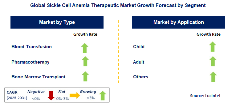 Sickle Cell Anemia Therapeutic Market by Segment