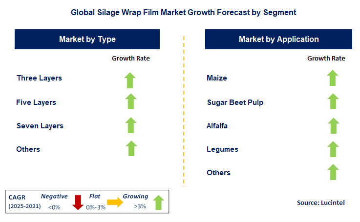 Silage Wrap Film Market by Segment