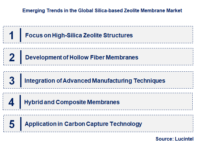 Emerging Trends in the Silica-based Zeolite Membrane Market