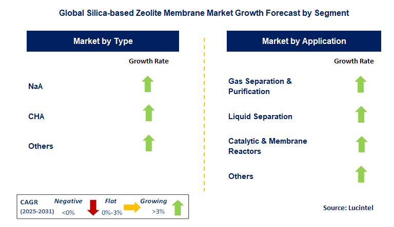 Silica-based Zeolite Membrane Market by Segment