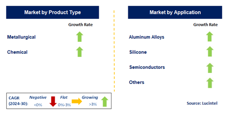 Silicon Alloy Market by Segment