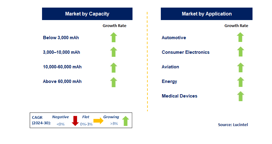 Silicon Anode Battery by Segment