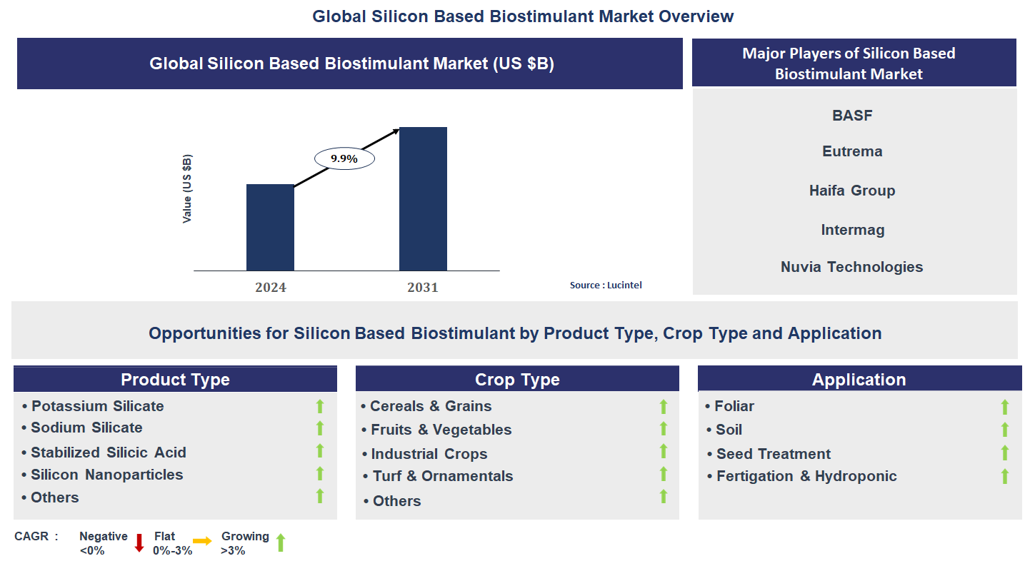Silicon Based Biostimulant Market Trends and Forecast