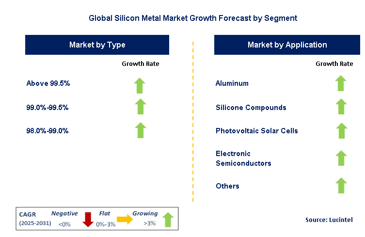 Silicon Metal Market by Segment