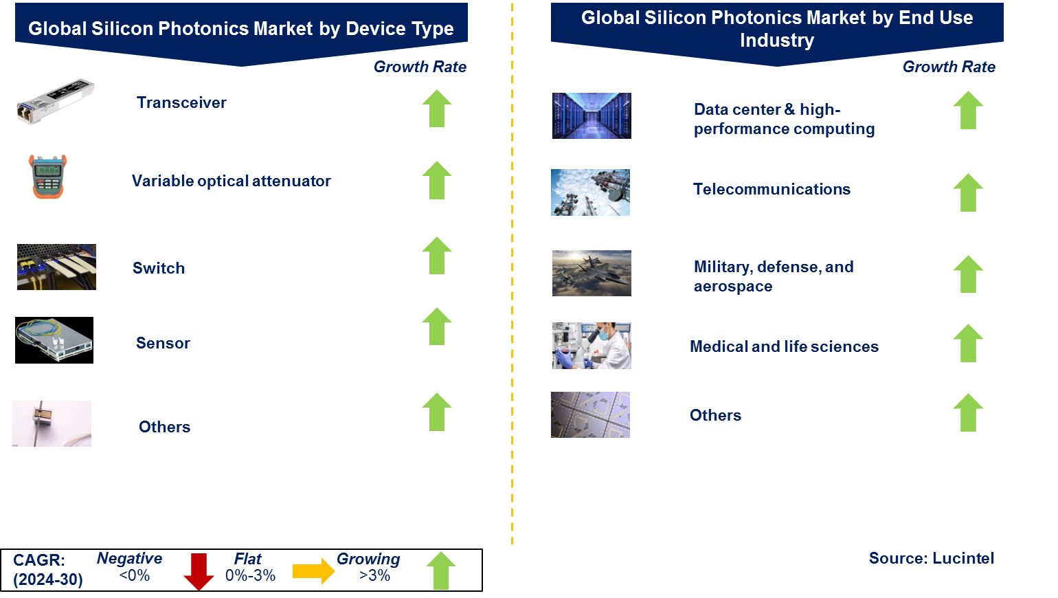 Silicon Photonics Market by Segment