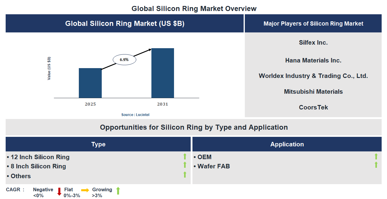 Silicon Ring Market Trends and Forecast