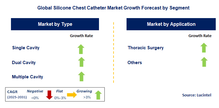 Silicone Chest Catheter Market by Segment