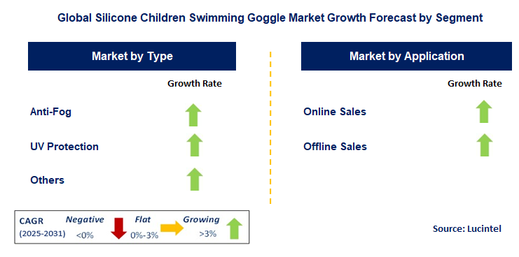 Silicone Children Swimming Goggle Market by Segment