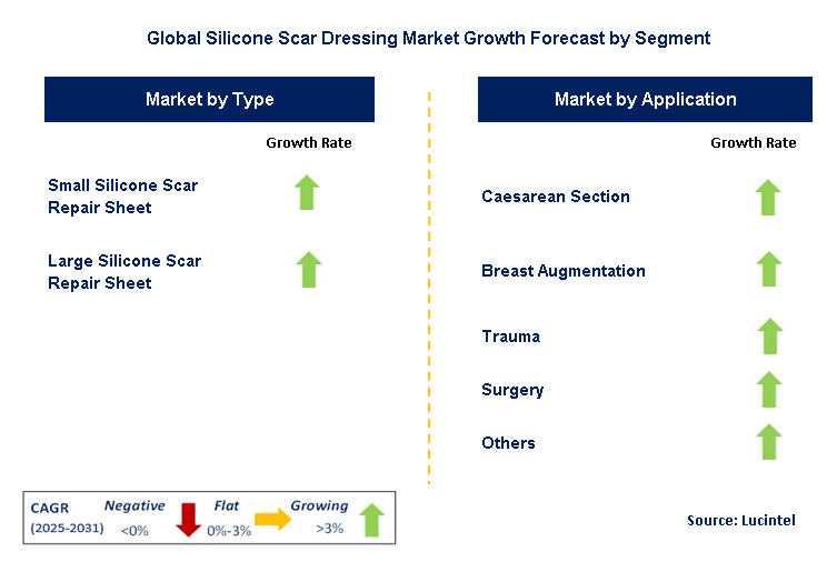 Silicone Scar Dressing Market by Segment