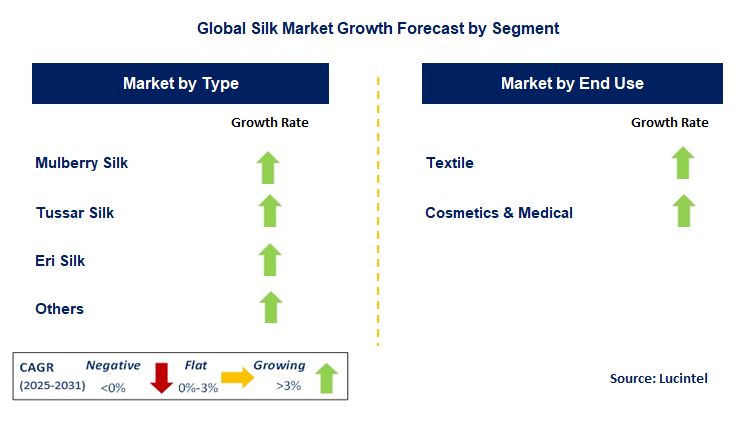 Silk Market by Segment