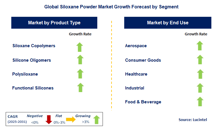 Siloxane Powder Market by Segment