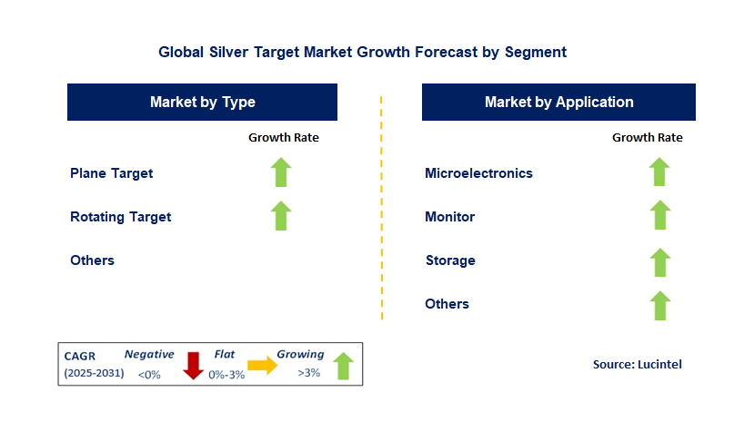 Silver Target Market by Segment