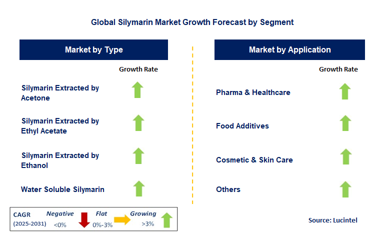 Silymarin Market by Segment