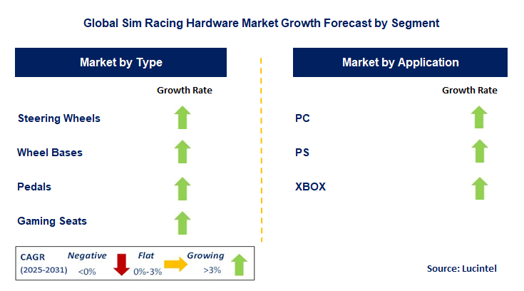 Sim Racing Hardware Market by Segment