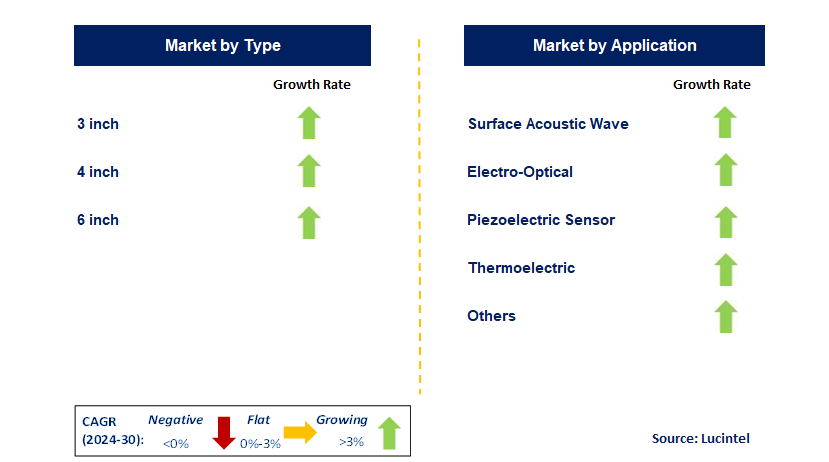 Single Crystal Lithium Tantalate Thin Film by Segment