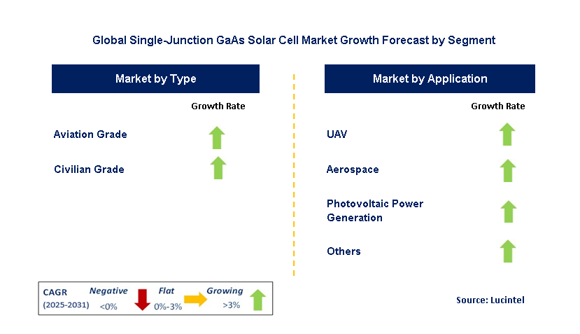 Single-Junction GaAs Solar Cell Market by Segment