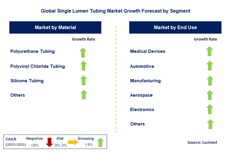 Single Lumen Tubing Market by Segment
