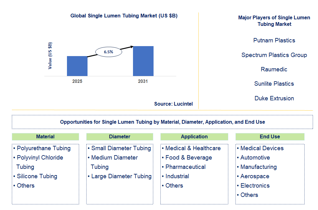 Single Lumen Tubing Market Trends and Forecast