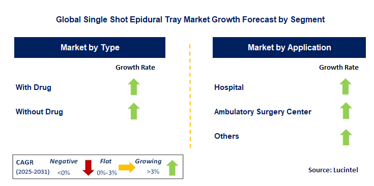 Single Shot Epidural Tray Market by Segment
