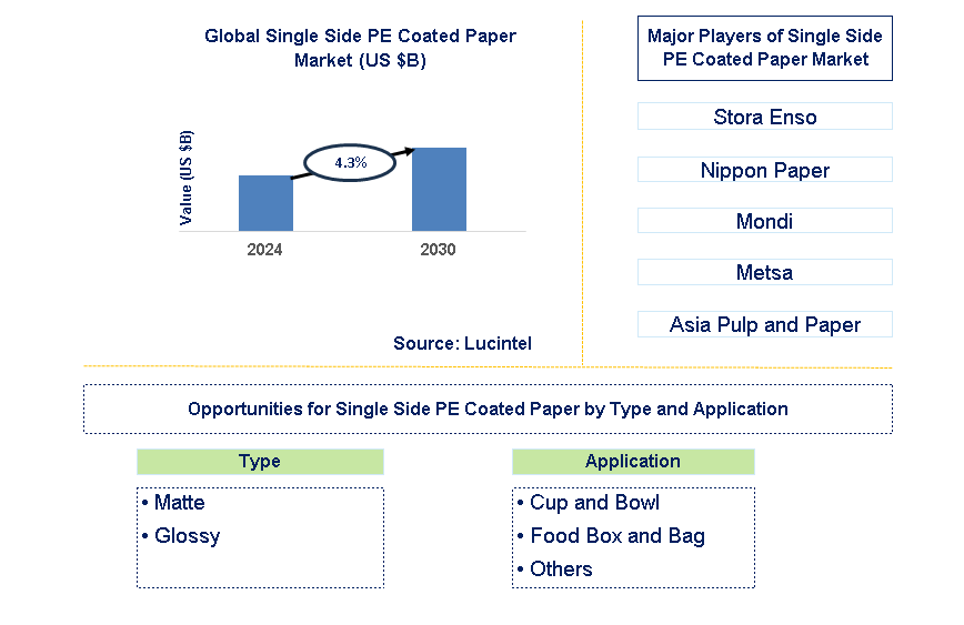 Single Side PE Coated Paper Trends and Forecast