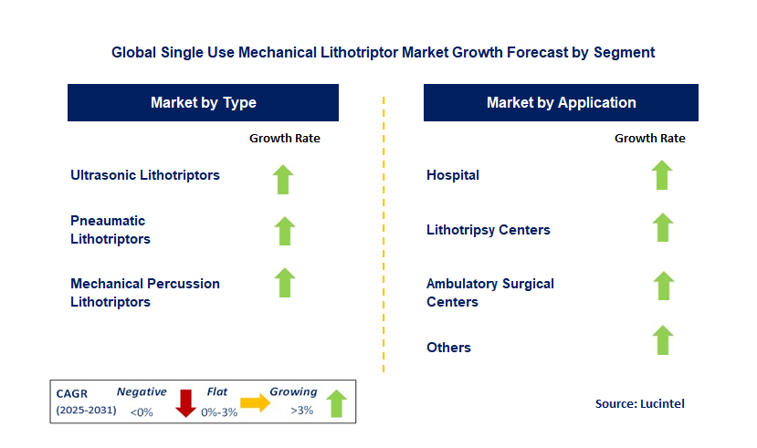 Single Use Mechanical Lithotriptor Market by Segment