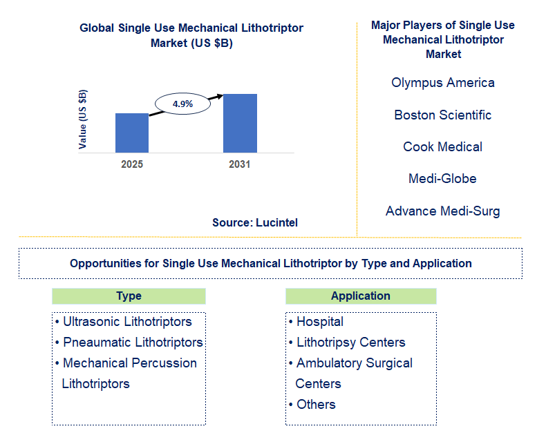 Single Use Mechanical Lithotriptor Market Trends and Forecast