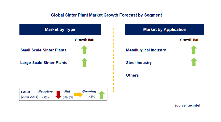 Sinter Plant Market by Segment