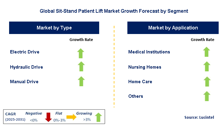 Sit-Stand Patient Lift Market by Segment