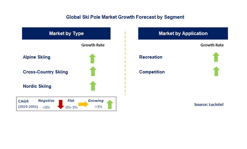 Ski Pole Market by Segment