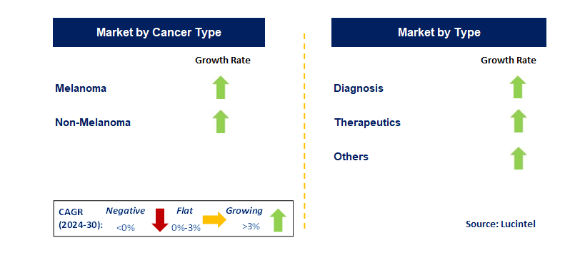 Skin Cancer Diagnostics & Therapeutics by Segment