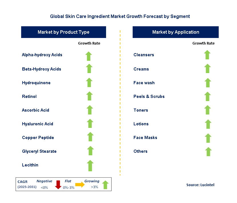Skin Care Ingredient Market by Segment
