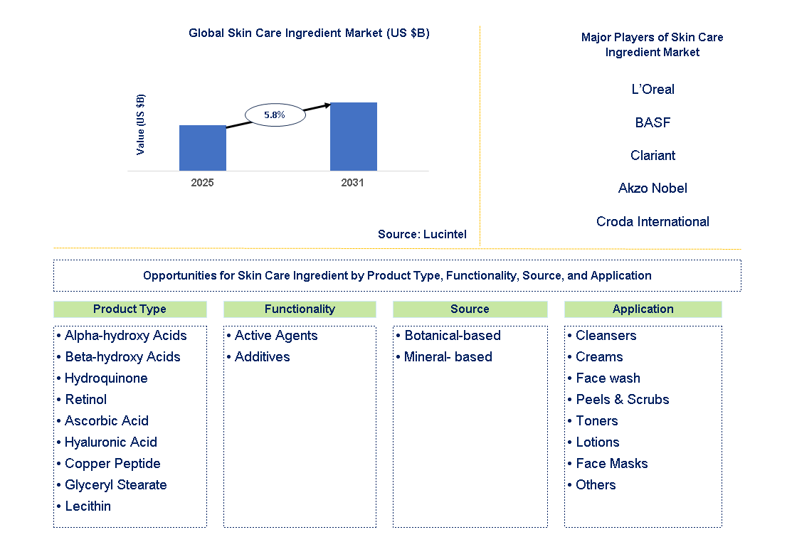 Skin Care Ingredient Market Trends and Forecast