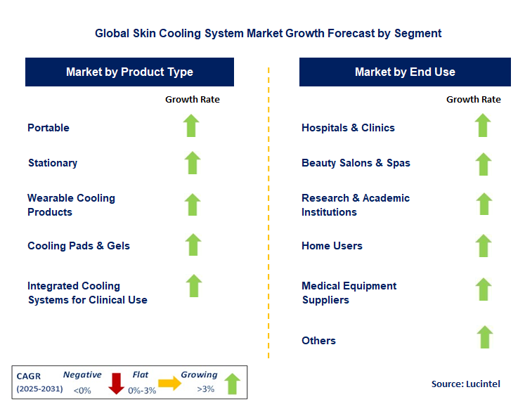 Skin Cooling System Market by Segment