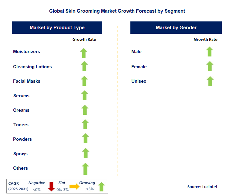 Skin Grooming Market by Segment