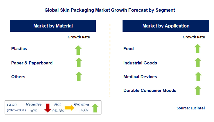 Skin Packaging Market by Segment