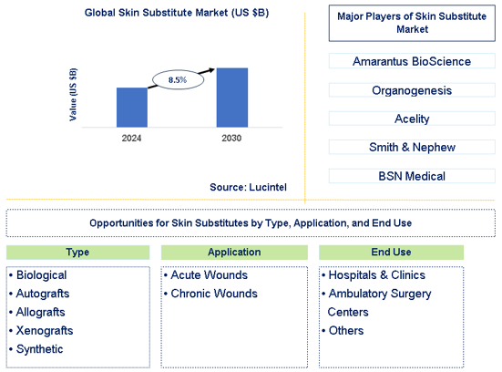 Skin Substitute Market Trends and Forecast