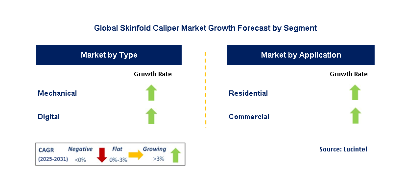 Skinfold Caliper Market by Segment