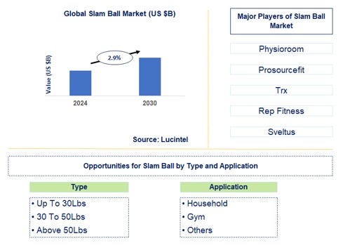 Slam Ball Trends and Forecast