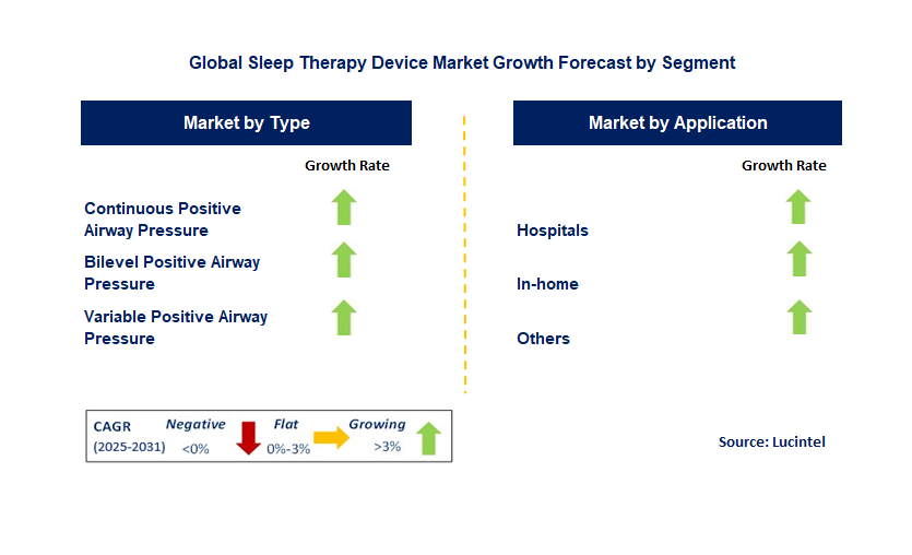 Sleep Therapy Device Market by Segment
