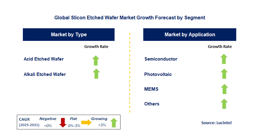 Slicon Etched Wafer Market by Segment