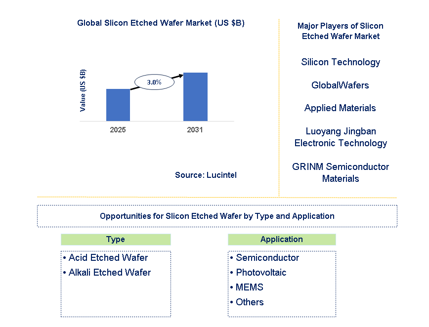 Slicon Etched Wafer Market Trends and Forecast