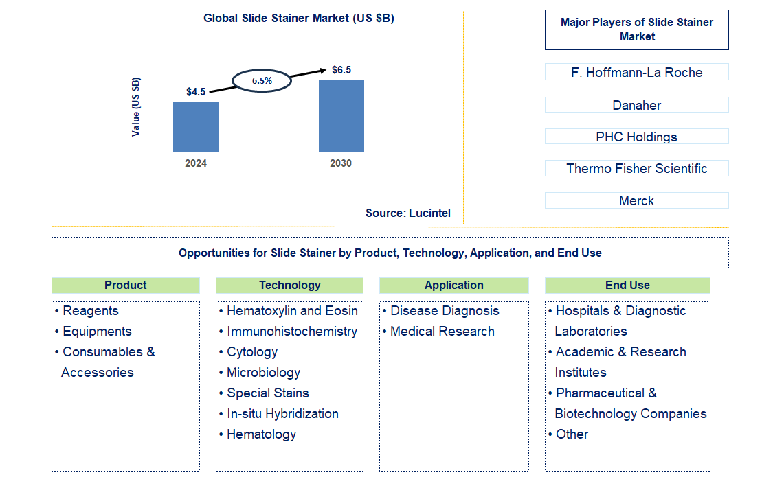 Slide Stainer Trends and Forecast