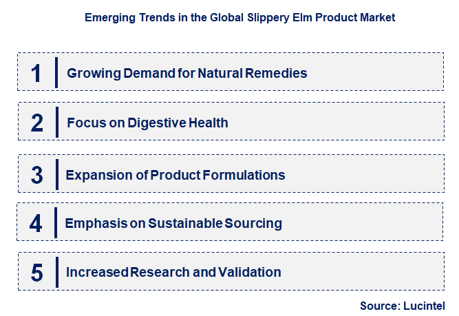 Emerging Trends in the Slippery Elm Product Market