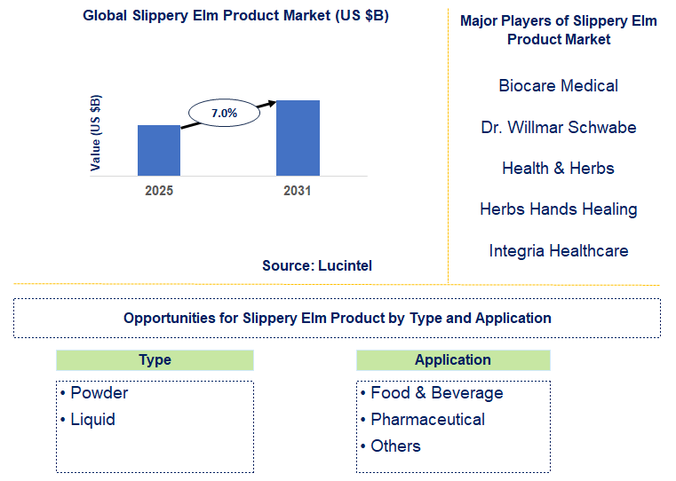 Slippery Elm Product Market Trends and Forecast