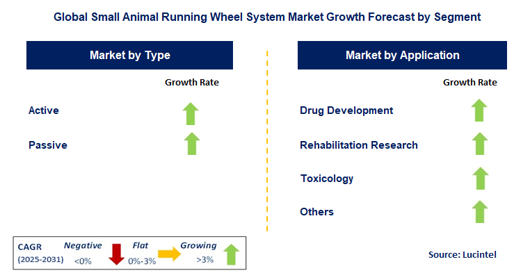 Small Animal Running Wheel System Market by Segment